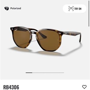 Ray Ban RB4306 Polarized Sunglasses